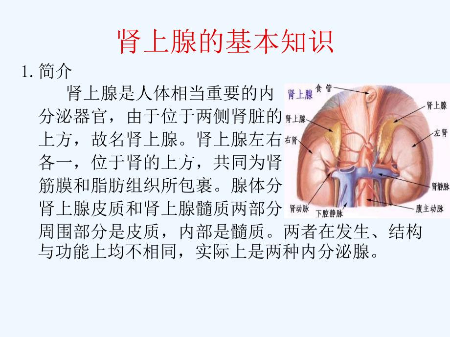 王菊-肾上腺护理查房_第4页