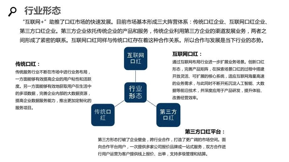 2020口红企业发展规划经营计划_第5页