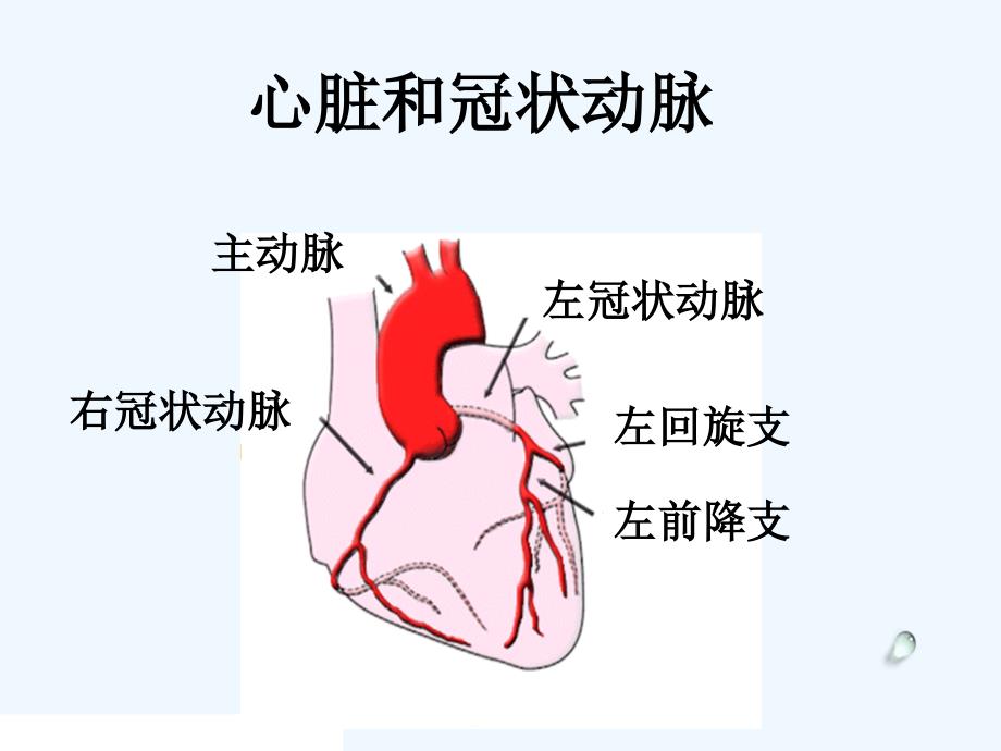 PCI护理查房_第2页