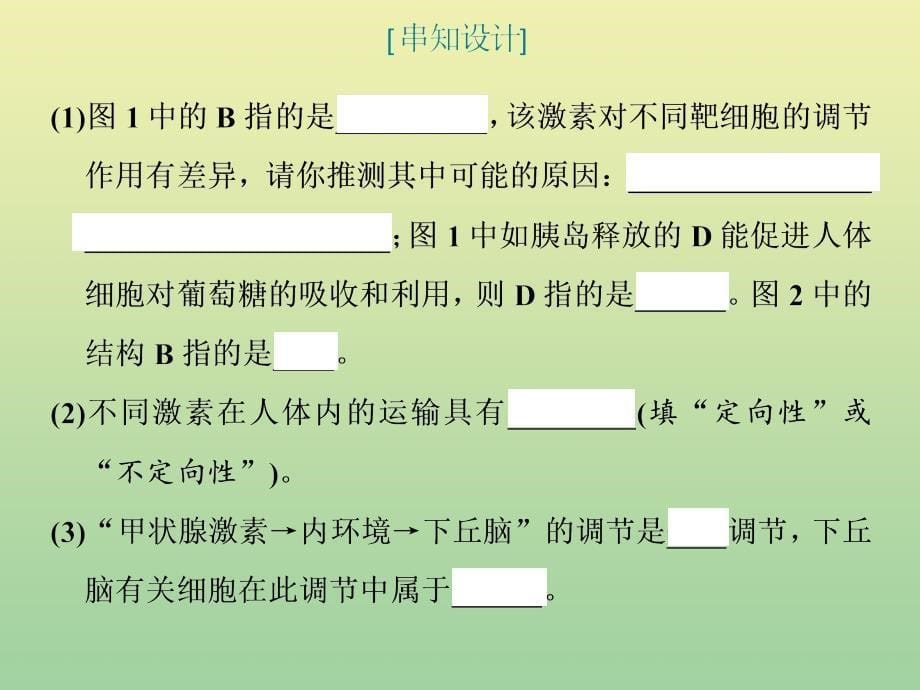 （江苏专用）2020高考生物二轮复习第一部分22个常考点专攻专题四调节3个主攻点之（二）第一课时神经调节和体液调节课件_第5页