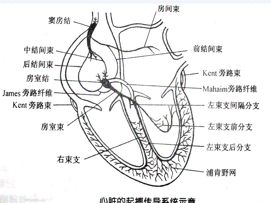 病窦综合征护理_第3页