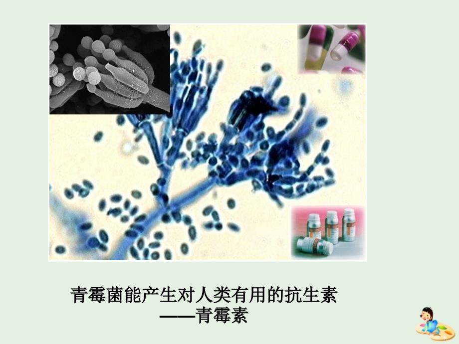 江西省吉安县第三中学高中生物6.2基因工程及其应用（第1课时）课件新人教版必修2_第1页