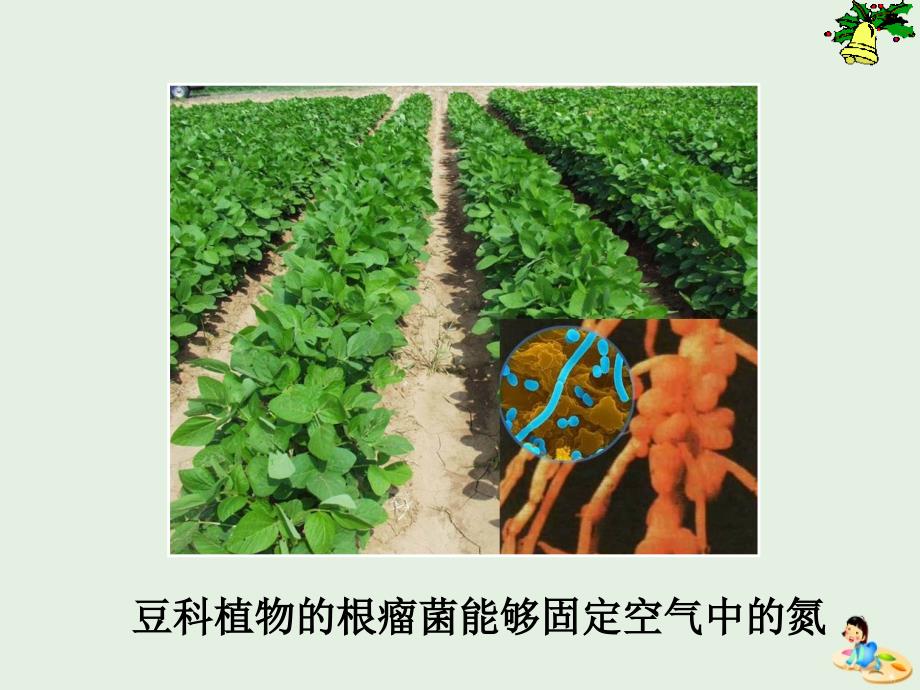 江西省吉安县第三中学高中生物6.2基因工程及其应用（第1课时）课件新人教版必修2_第2页