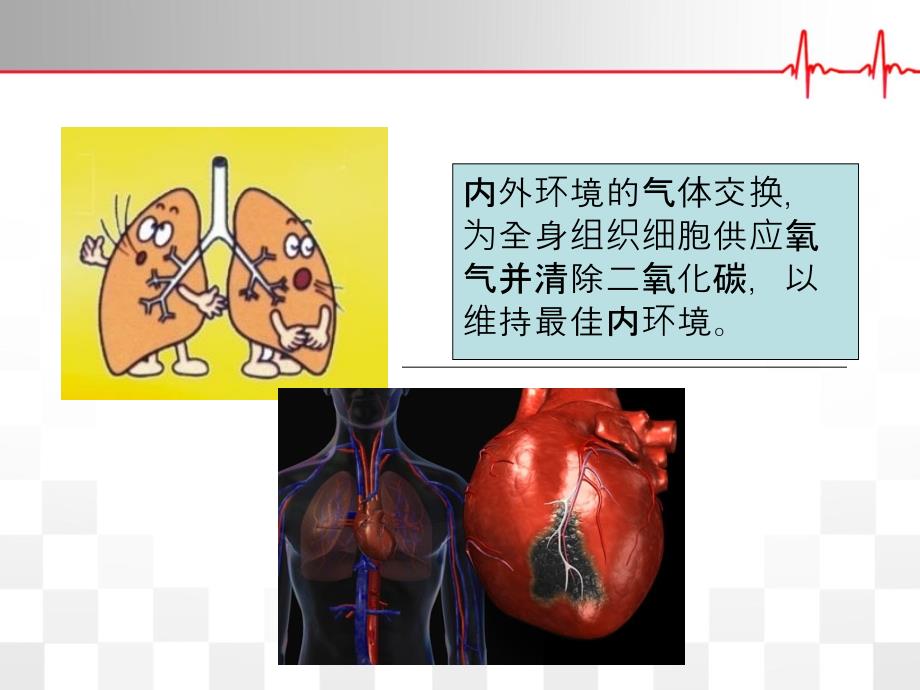 康复评定心肺功能评定模板_第4页