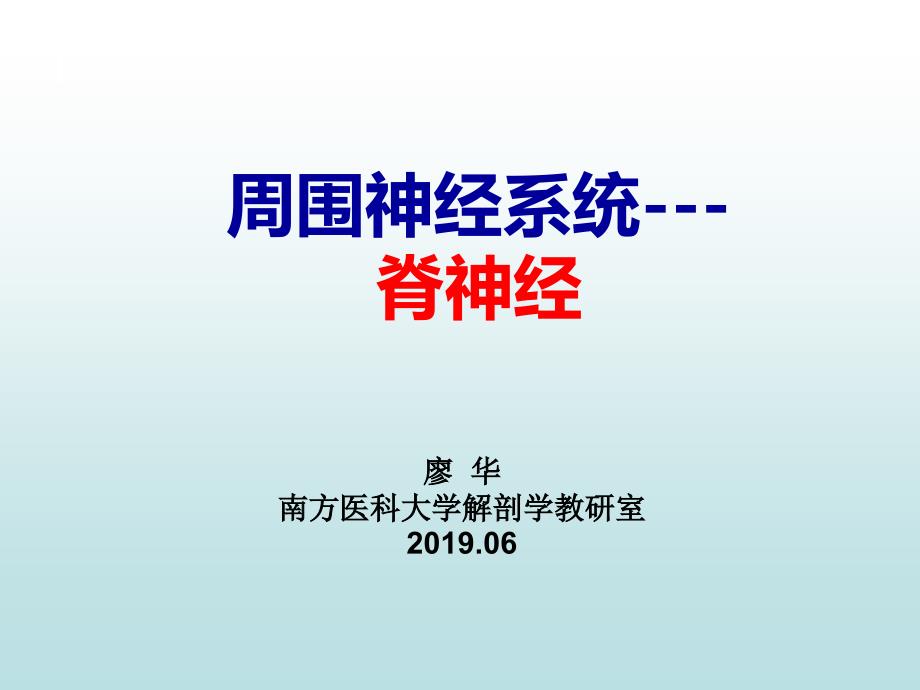 系统解剖学周围神经系统脊神经2_第1页