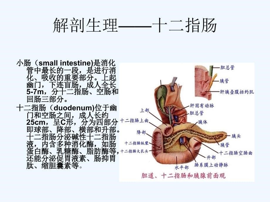 胃肠术后患者的监测及护理_第5页