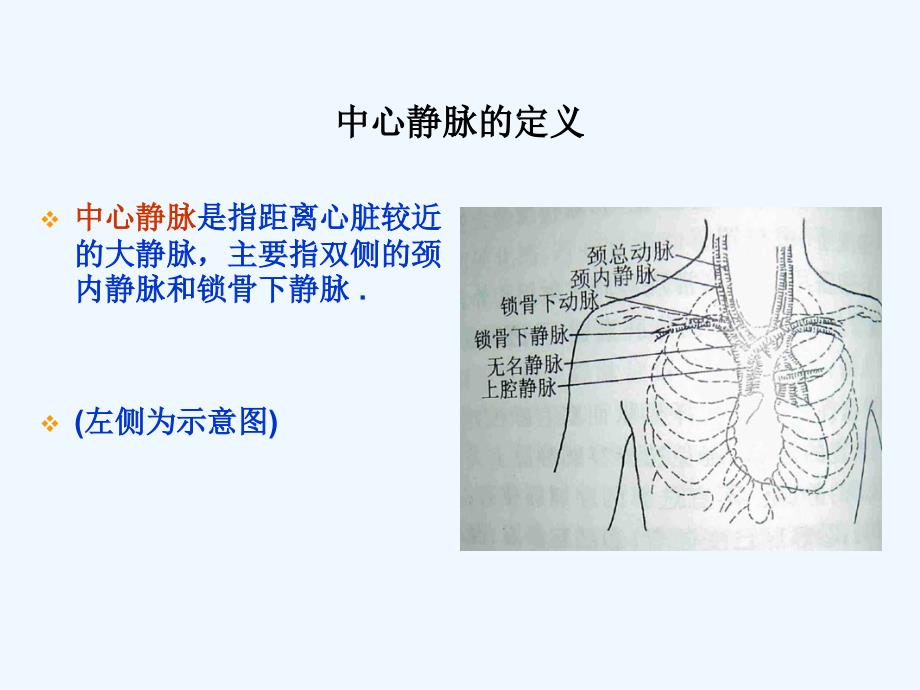 中心静脉置管的护理共享精品ppt_第3页