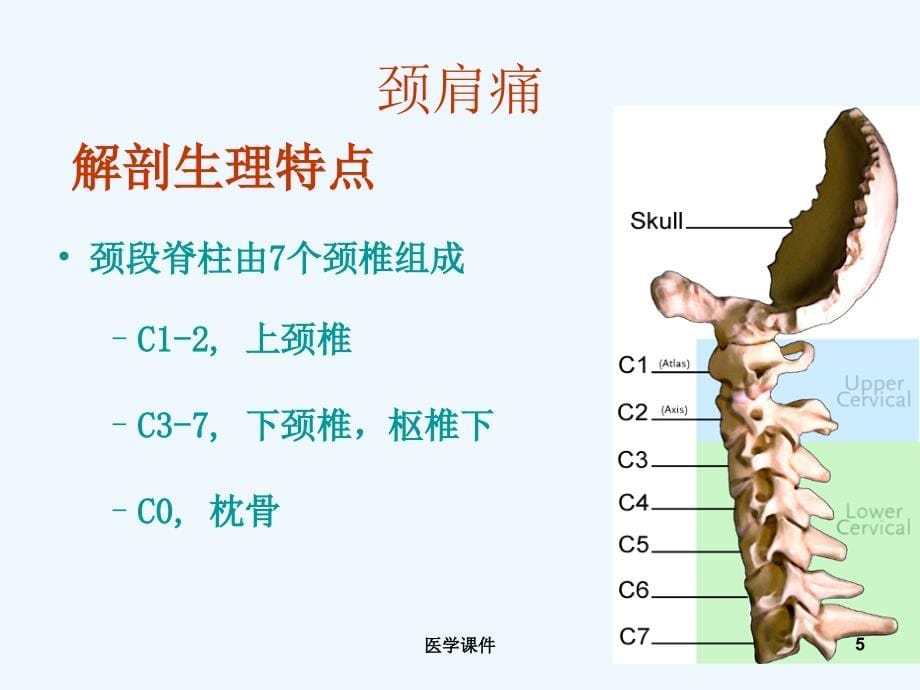 外科护理颈肩痛与腰腿痛病人的护理_第5页