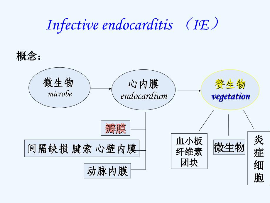 内科护理学medicalnursing感染性心内膜炎病人的护理_第2页