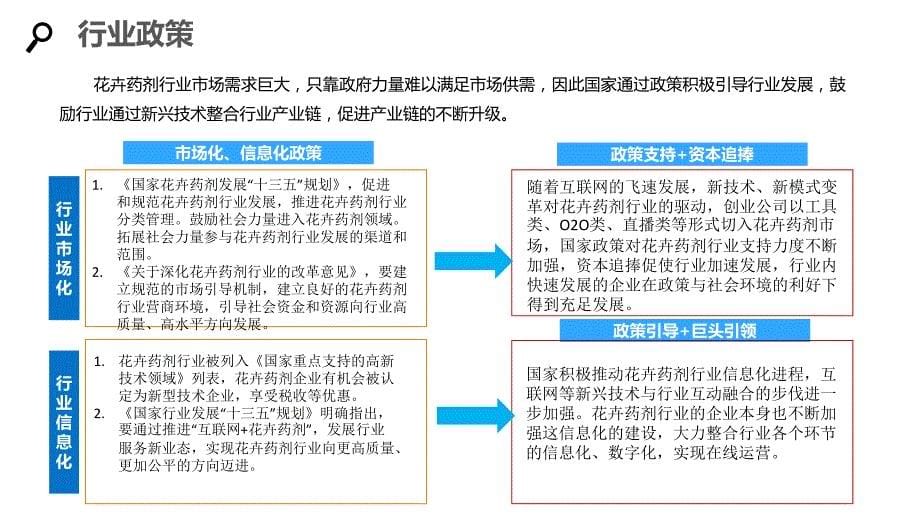 2020花卉药剂企业发展战略经营计划_第5页