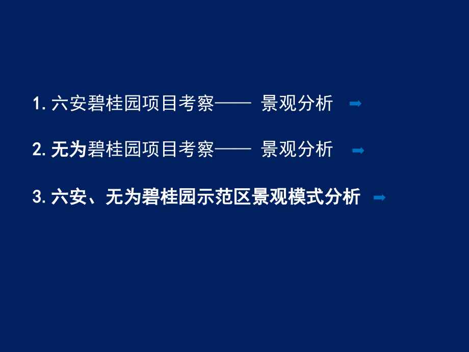 碧桂园项目分析_汇总_第1页