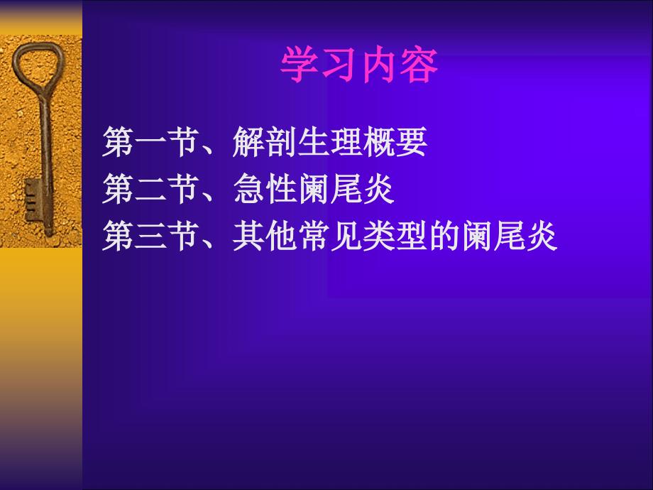 第二十八章阑尾炎病人护理_第2页