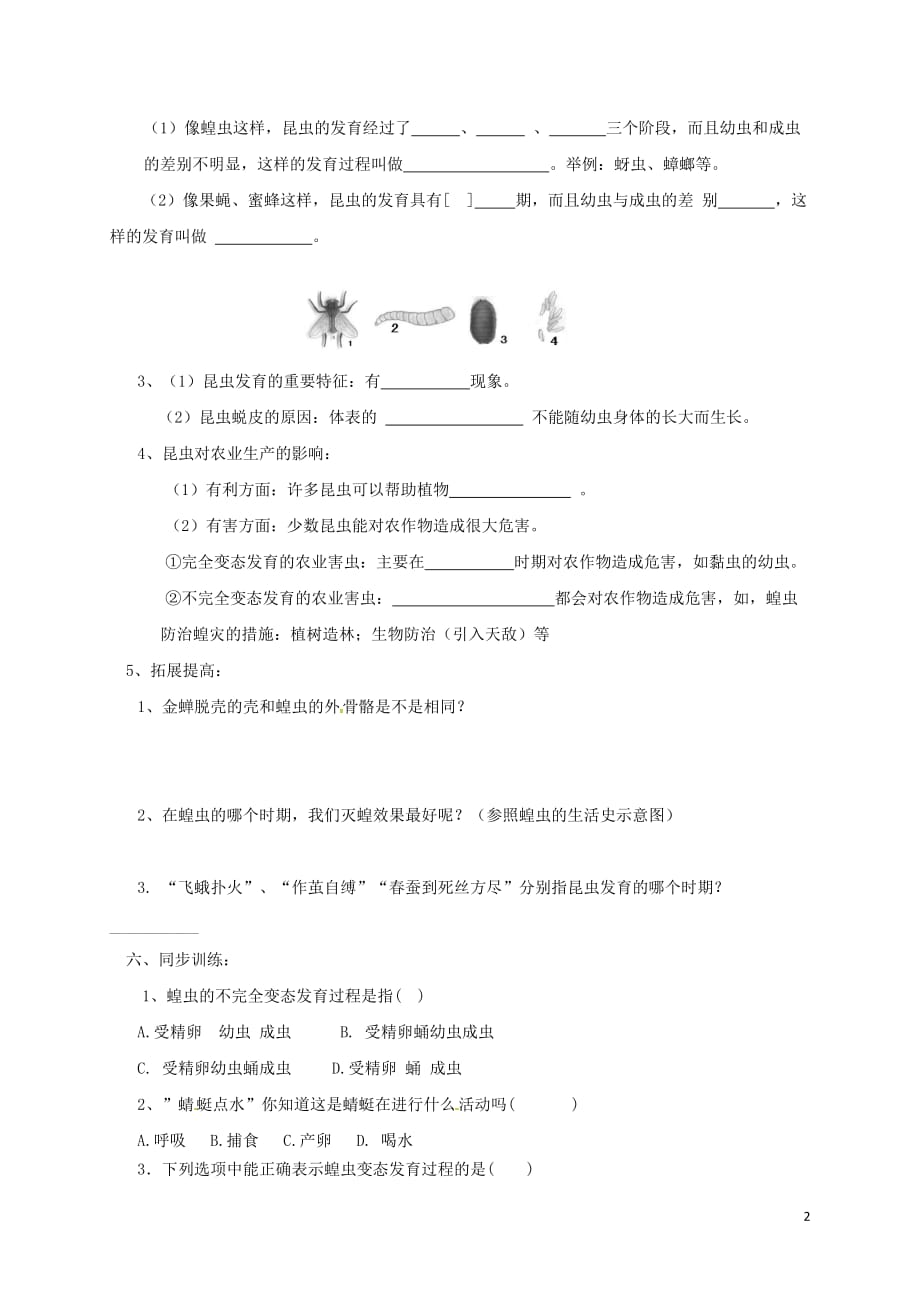 八年级生物上册第四单元物种的延续第2章动物的生殖和发育第1节昆虫生殖和发育学案（新版）济南版_第2页