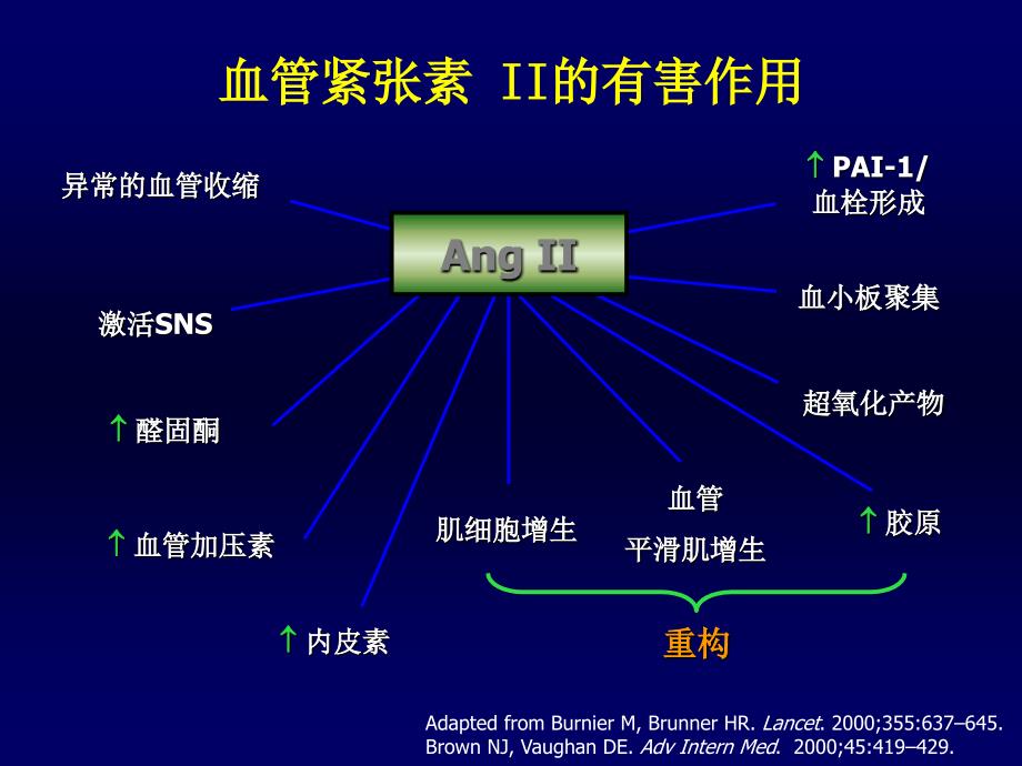 ACEIARB的临床应用体会课件_第2页