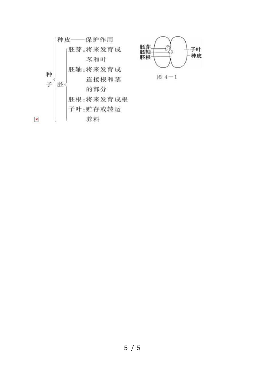 中考科学重点知识点植物的生殖与发育_第5页