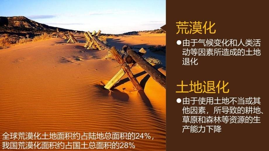 【步步高】2017版高考地理大一轮复习区域可持续发展 第31讲 荒漠化的危害与治理-以我国西北地区为例课件_第5页