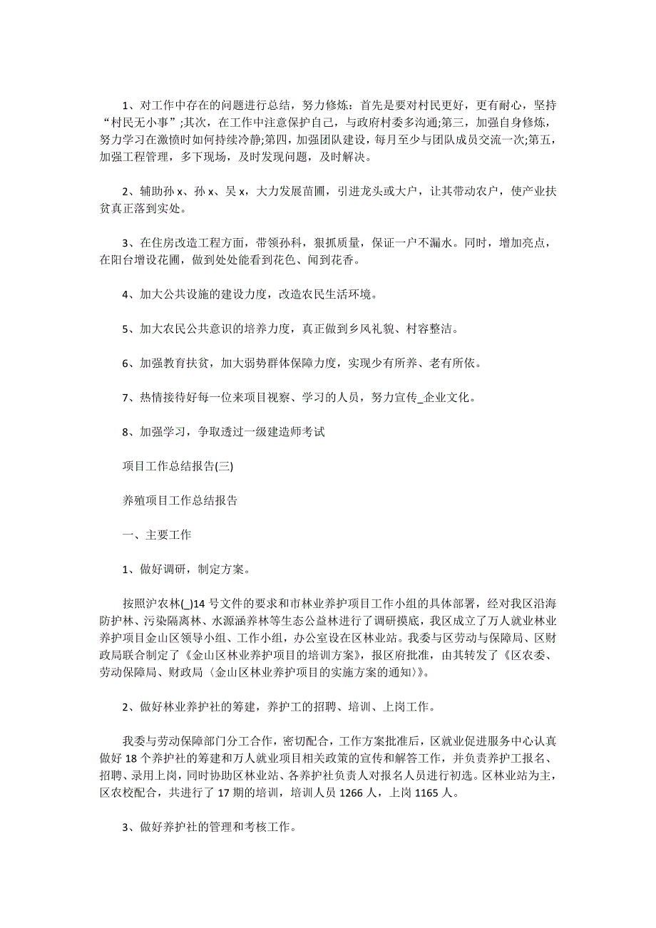 2020年项目工作总结报告范文_第4页