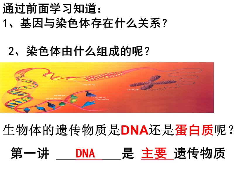 高中三年级一轮复习_DNA是主要的遗传物质(2014年杨利霞)_第2页
