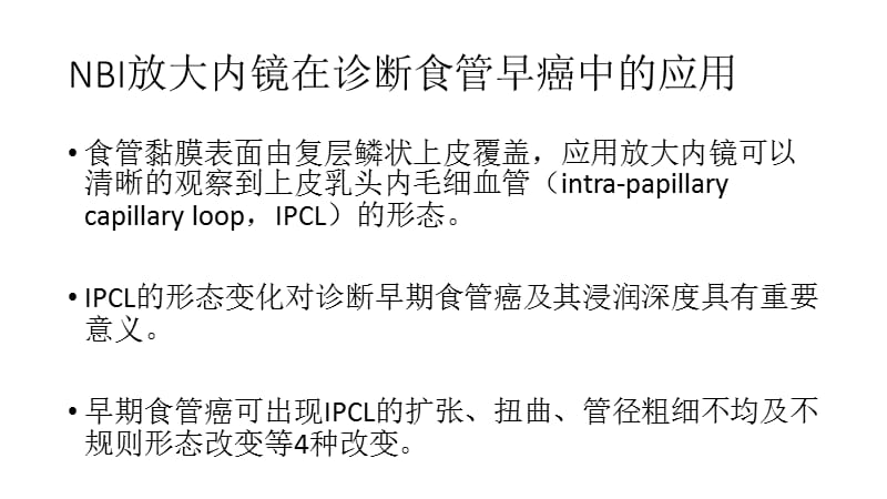 NBI放大内镜_第4页