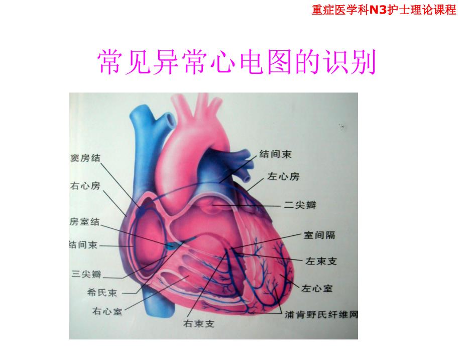 正常心电图与常见异常心电图的识别与处理_第2页