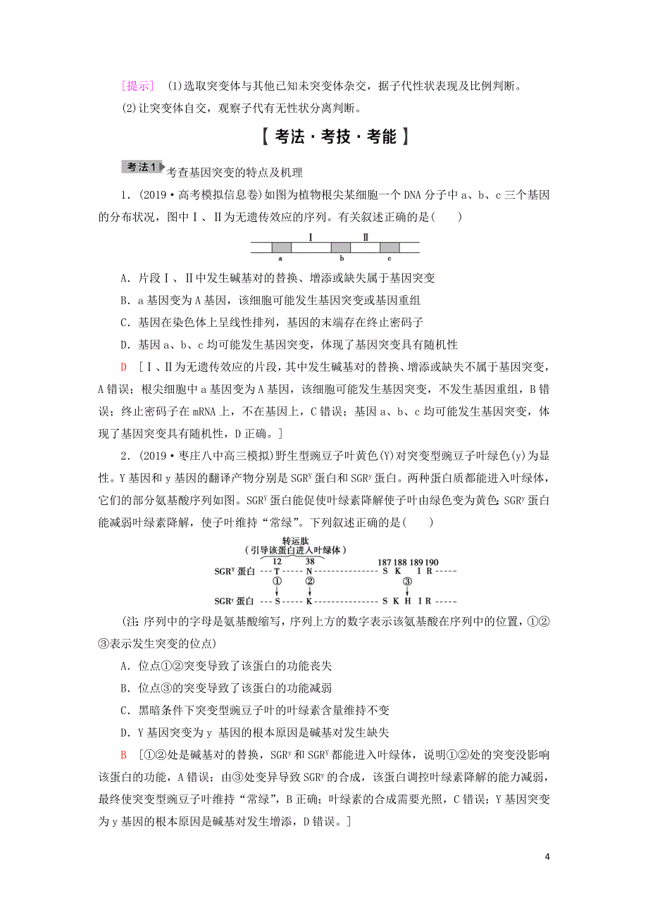 2021版高考生物一轮复习 第7单元 生物的变异、育种与进化 第1讲 基因突变和基因重组学案 苏教版必修2_第4页