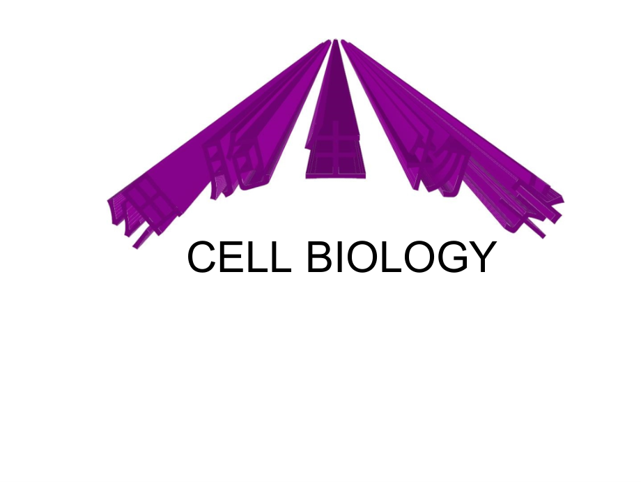 细胞生物学第十三章 程序性细胞死亡与细胞衰老_第1页