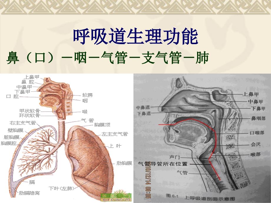 气管切开的护理_课件_第3页