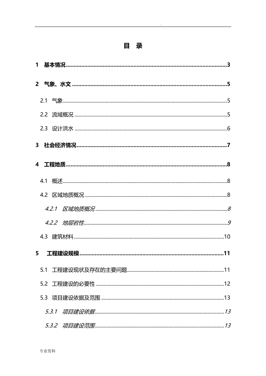 河道整治项目实施建议书_第1页