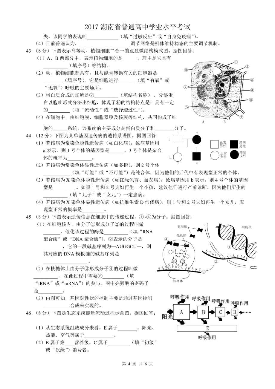 2017年湖南普通高中学业水平考试生物试题(已排版·含答案)_第4页