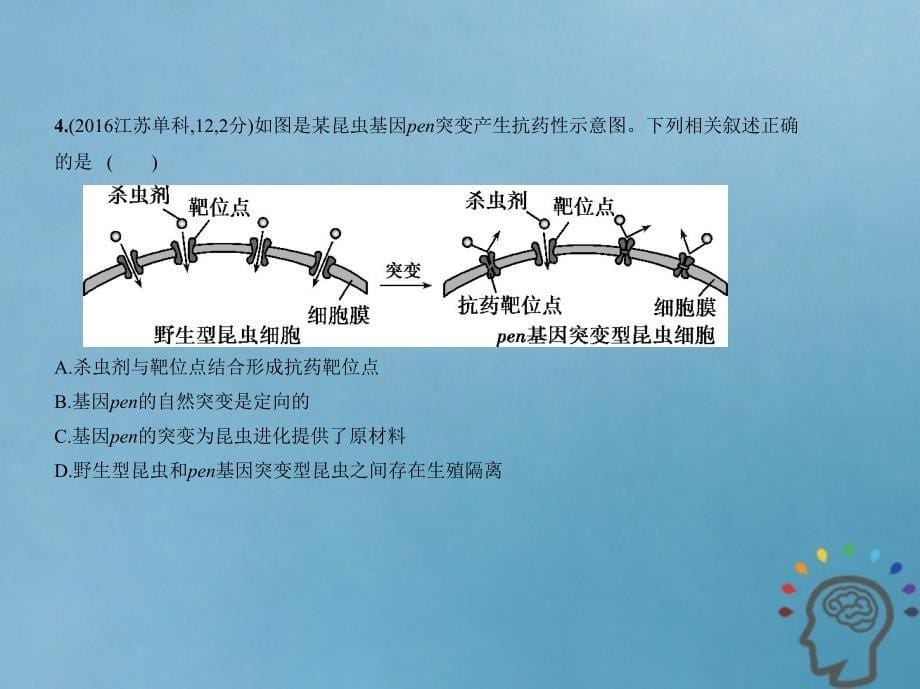 2019版高考生物一轮复习 专题15 生物的进化课件教学资料_第5页