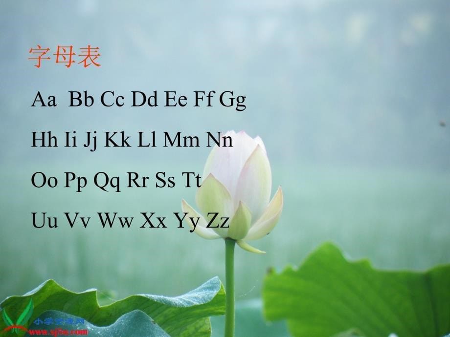 六年级语文总复习专题训练-汉语拼音知识_第5页