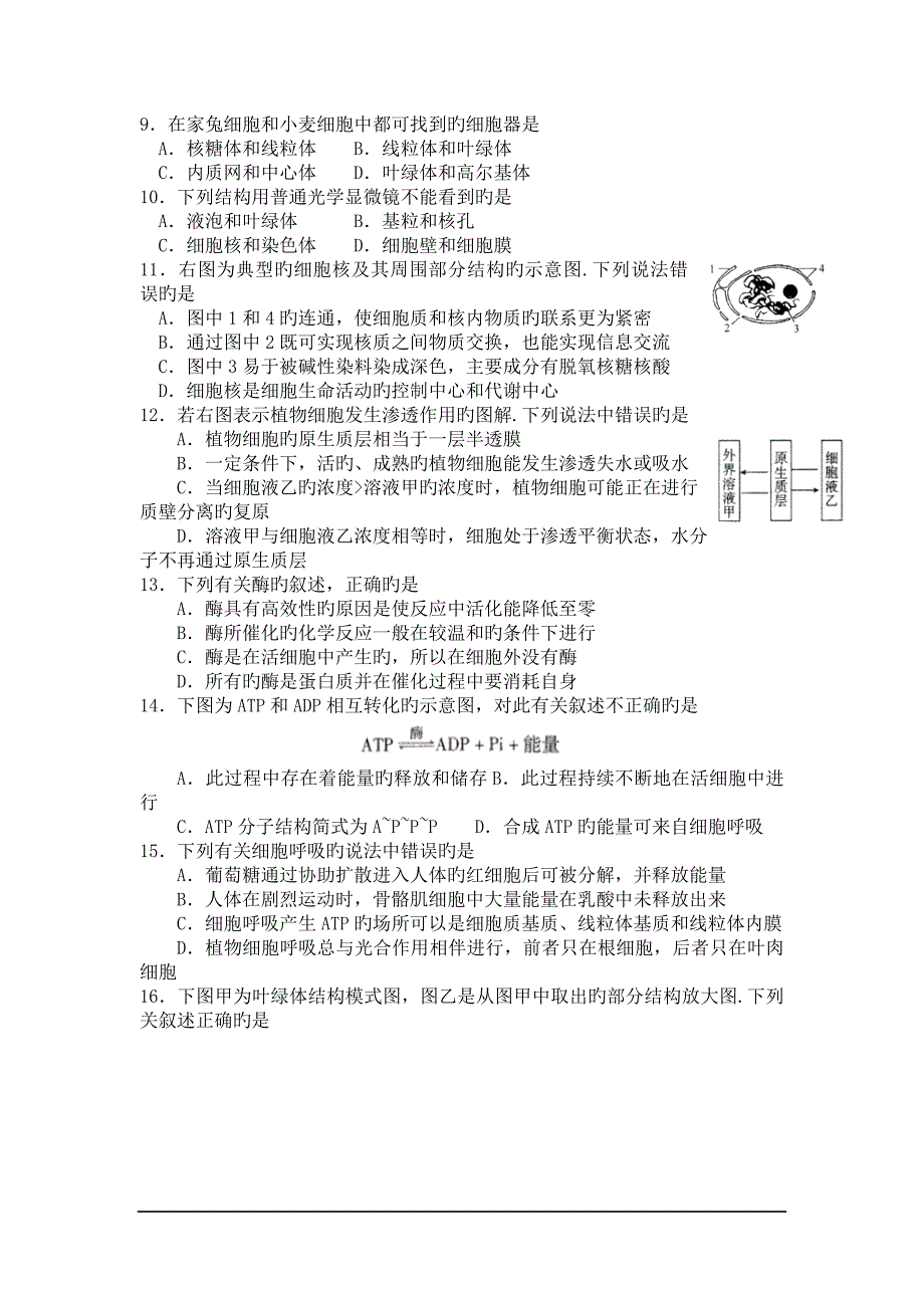 北京朝阳区18-19学度高二上年末考试-生物_第2页