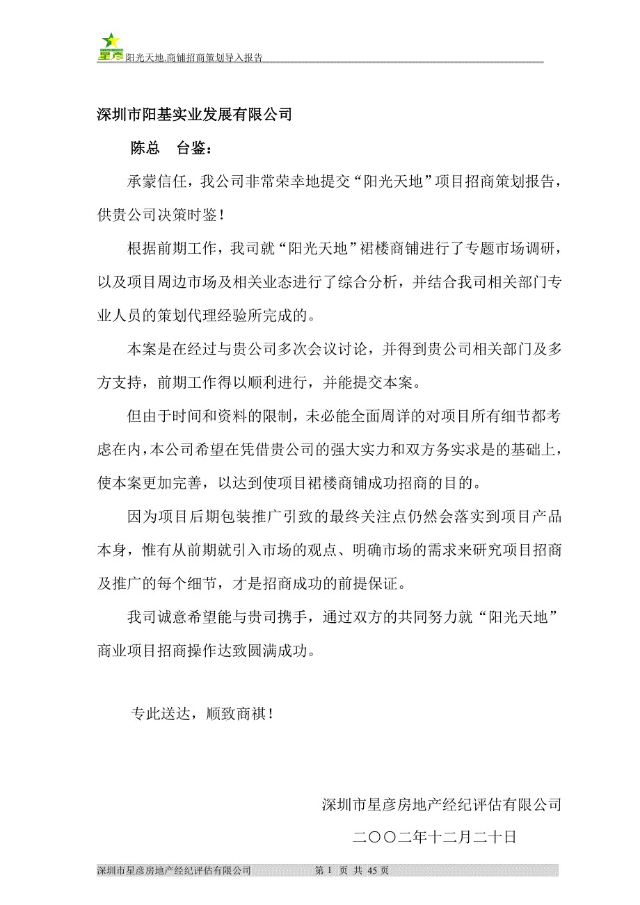 招商策划导入报告_第2页