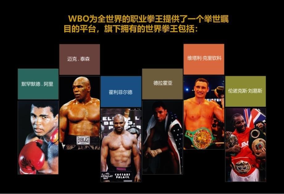 2016南宁WBO招商方案_第5页