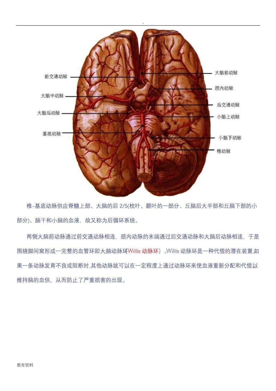 脑供血脑血管解剖(图文)_第5页