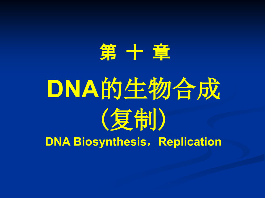 DNA的生物合成-复旦大学生物化学PPT课件_第1页