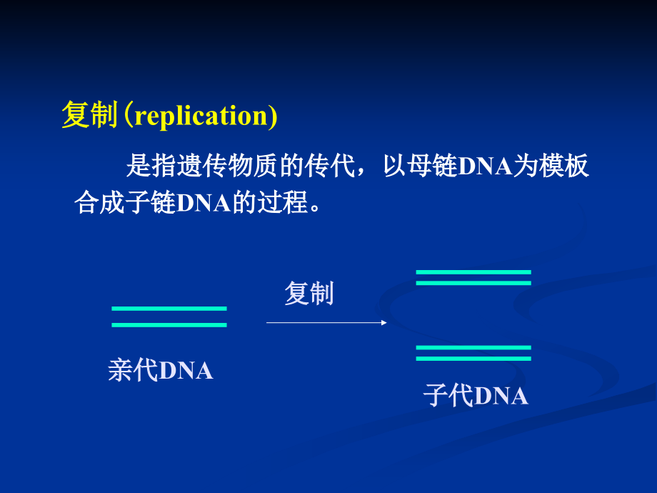 DNA的生物合成-复旦大学生物化学PPT课件_第2页