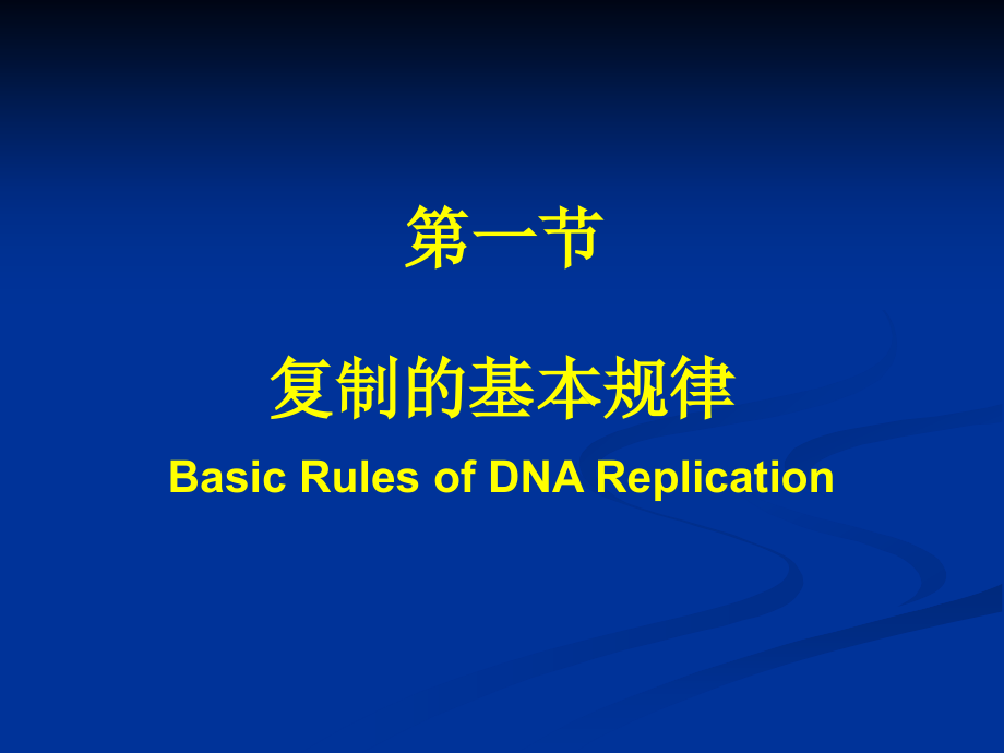 DNA的生物合成-复旦大学生物化学PPT课件_第3页