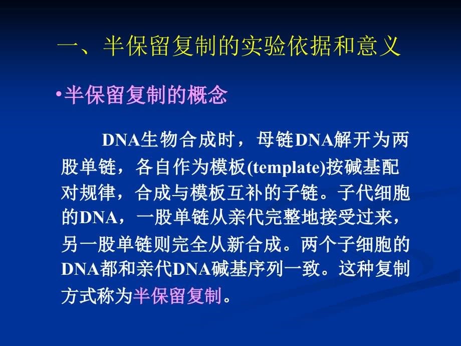 DNA的生物合成-复旦大学生物化学PPT课件_第5页