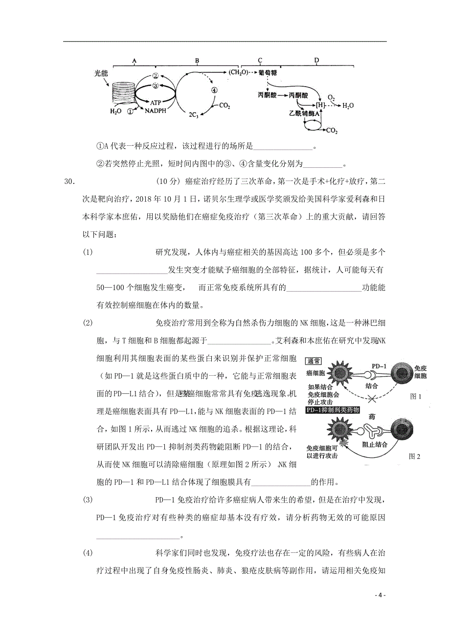 【常耕不辍】2019届高三生物第九次月考试题_第4页