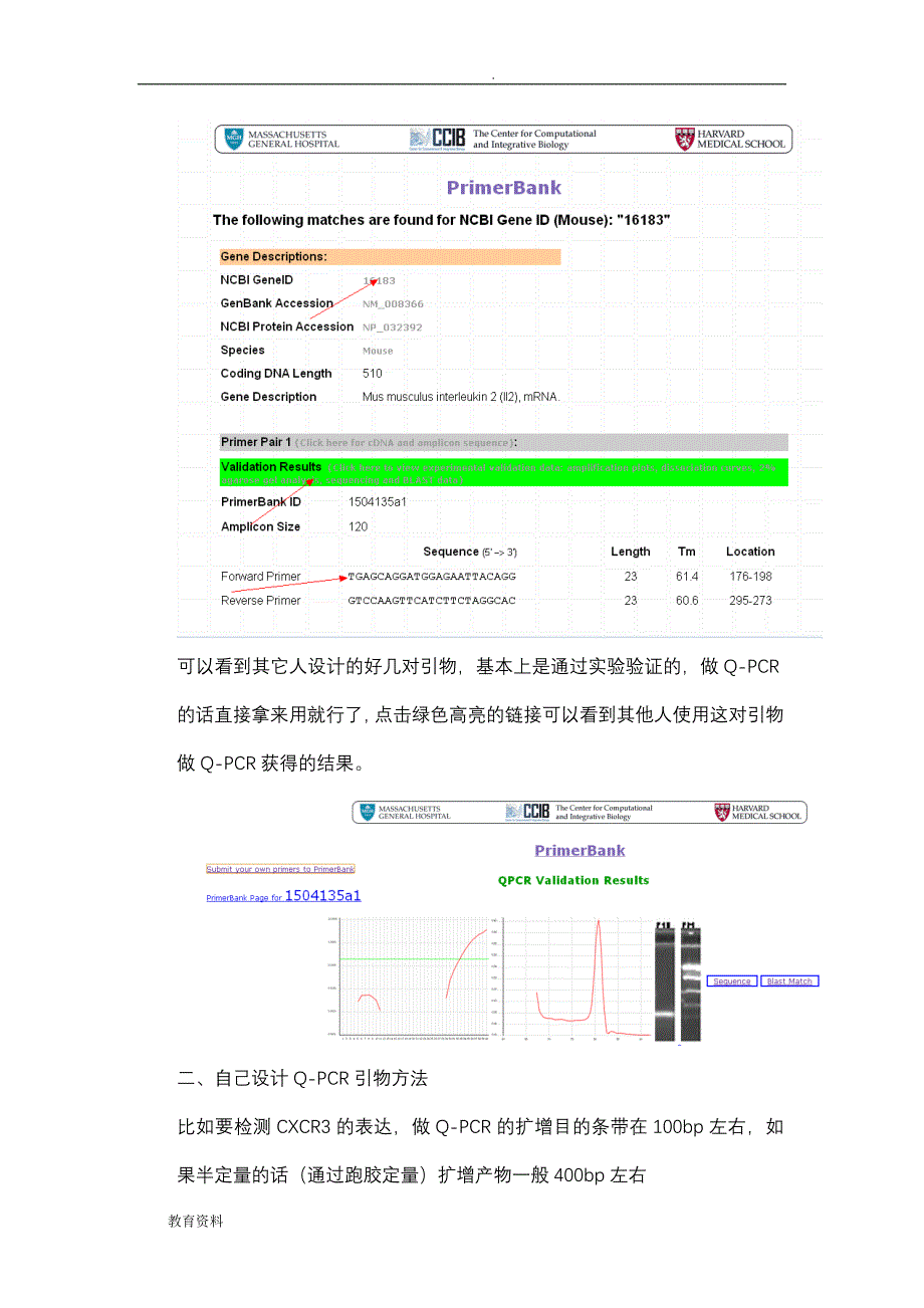 设计RT-PCR引物方法_第3页