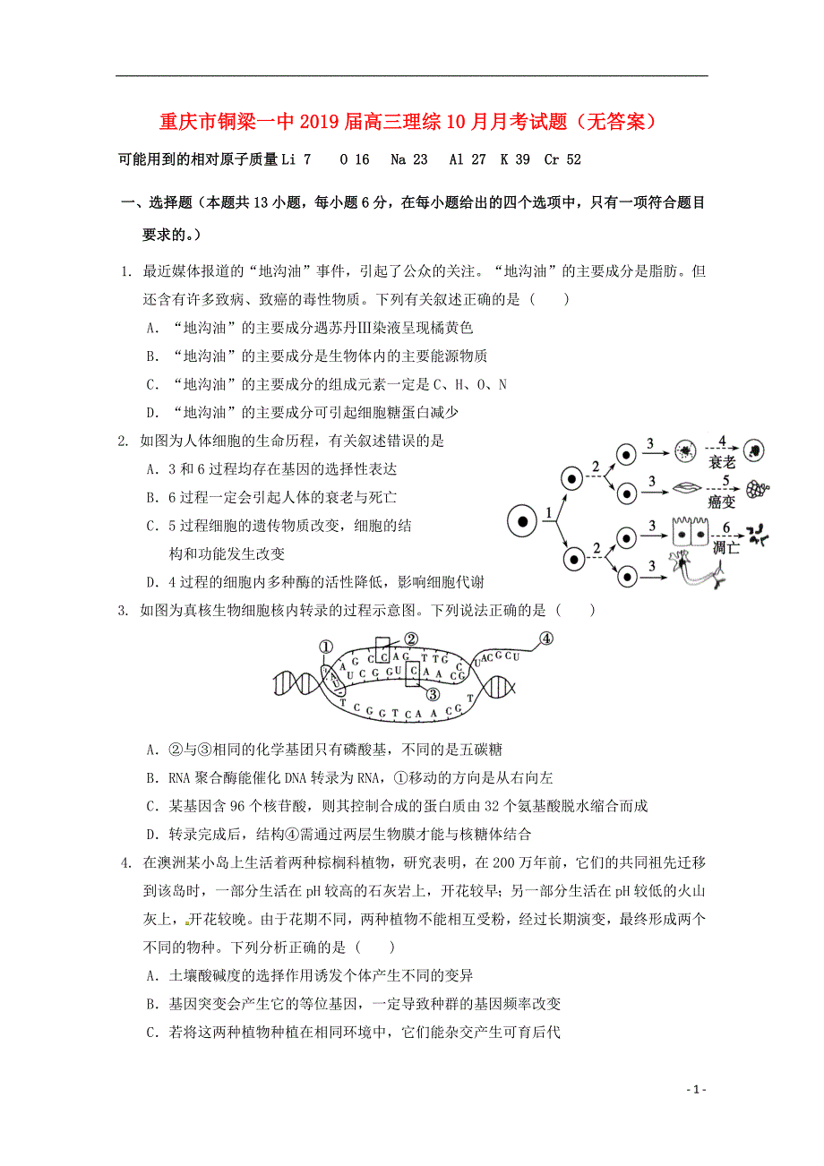 【常耕不辍】2019届高三理综10月月考试题（无答案）_第1页