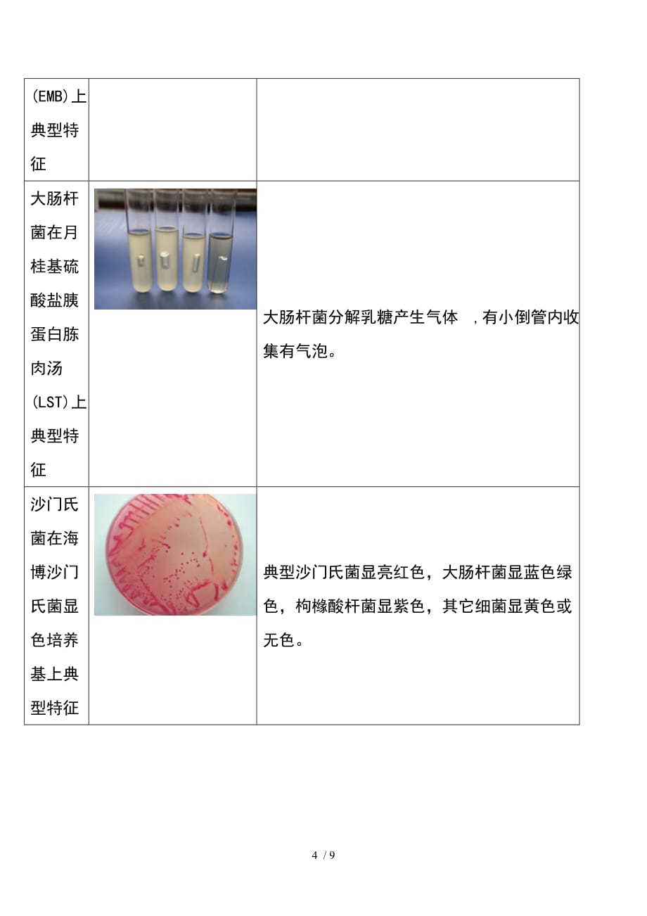 微生物菌落特征形态等总结大全表格带图片_第4页