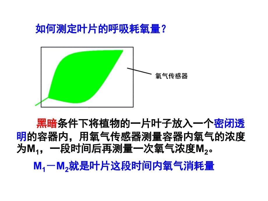 光合作用和呼吸作用综合问题分析_第5页