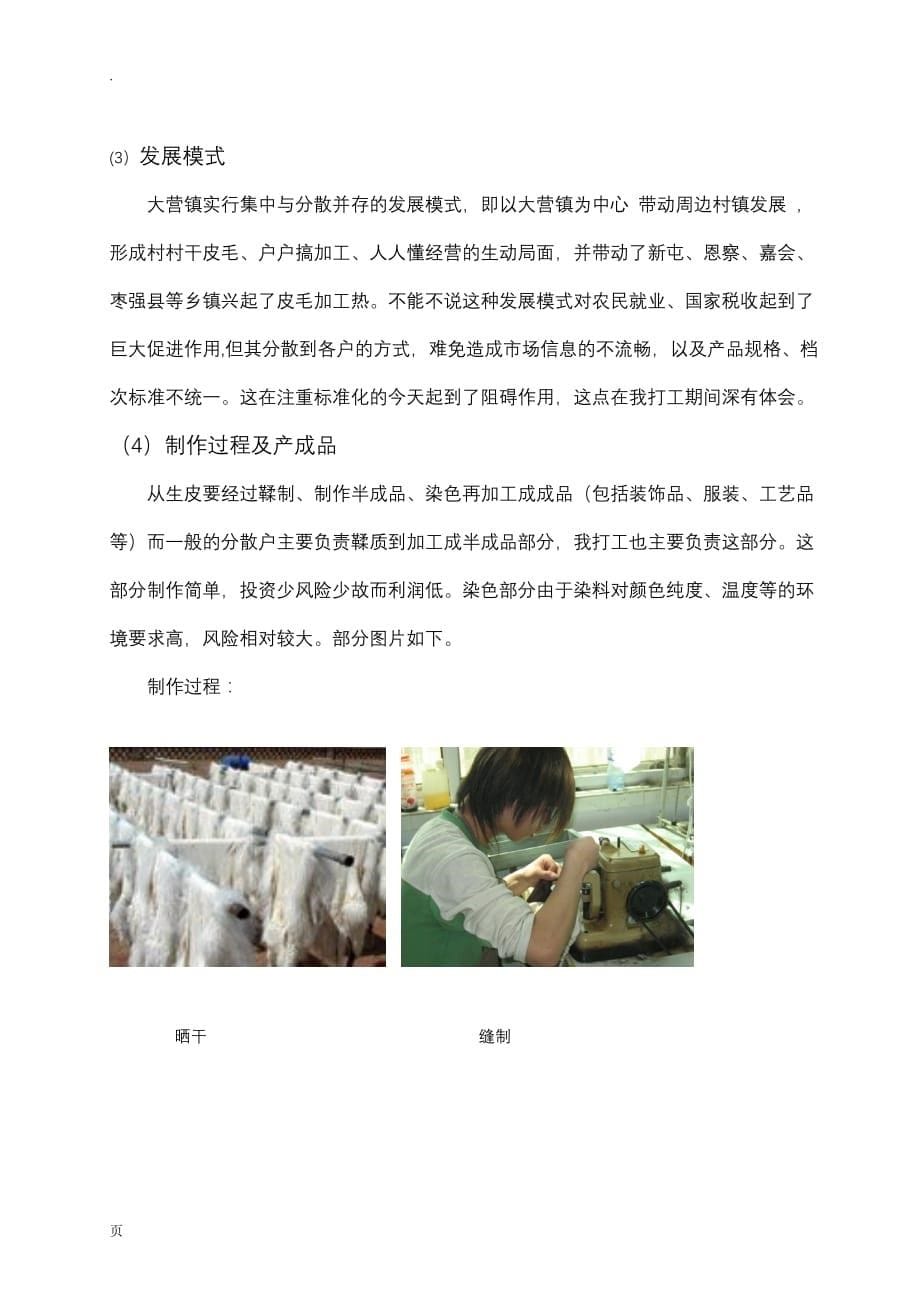 关于河北省枣强县皮毛产业的调查_3941_第5页