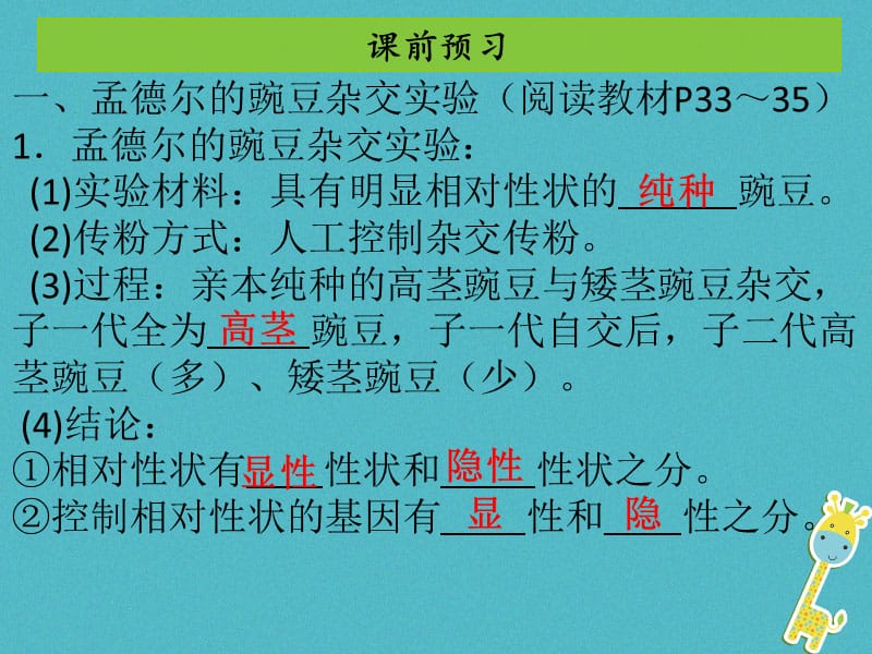 2017-2018学年八年级生物下册 7.2.3基因的显性和隐性课件（新版）新人教版_第3页