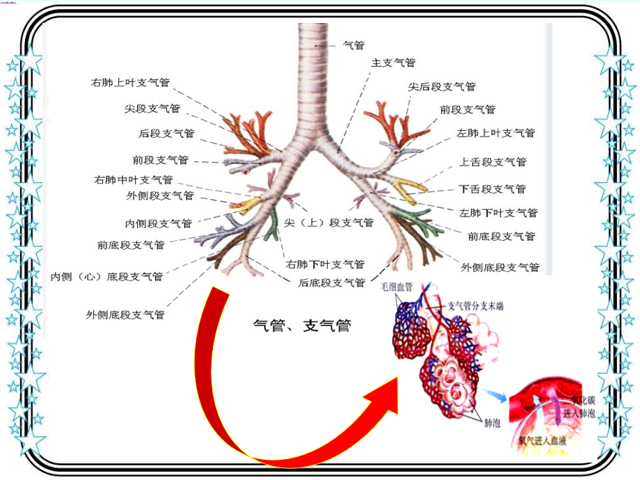 慢性阻塞性肺疾病(COPD)临床康复_第4页