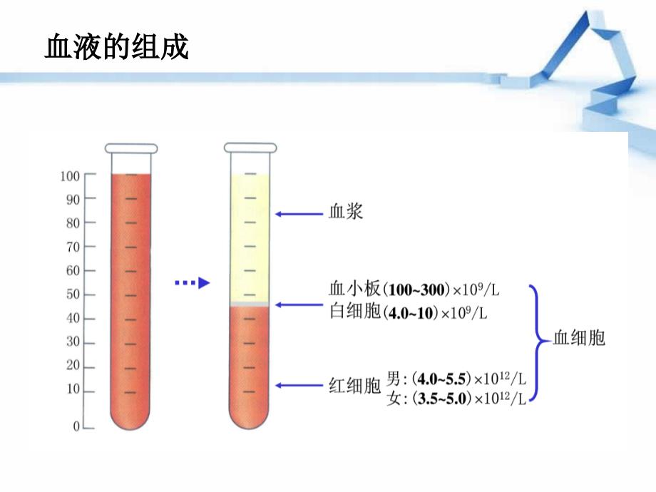 医学免疫学(第八版)固有免疫细胞_第3页