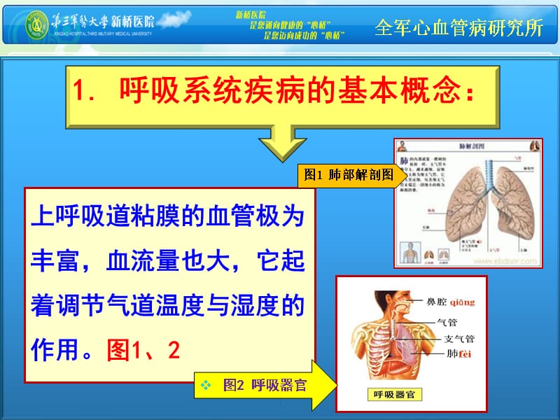 1110 钟杭美讲-1呼吸系统疾病心电图_第3页