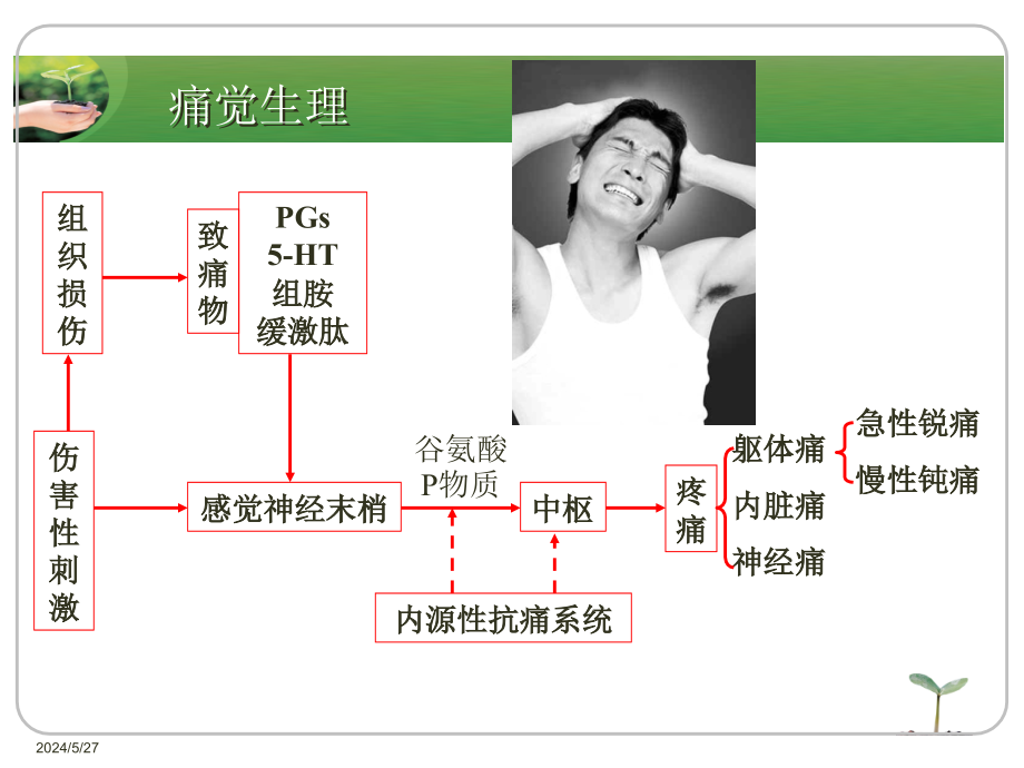 药物化学04镇痛药与镇咳祛痰药_第4页